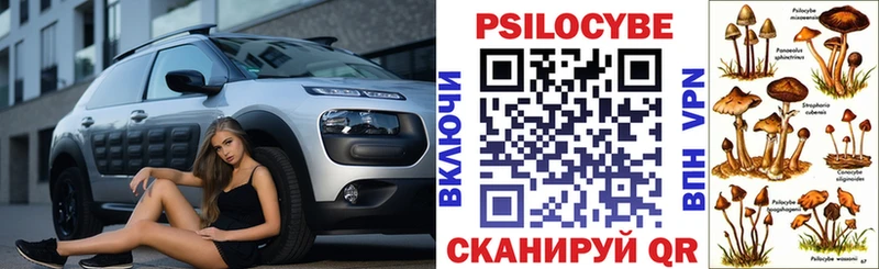 mega как зайти  Красноуральск  Галлюциногенные грибы мицелий 